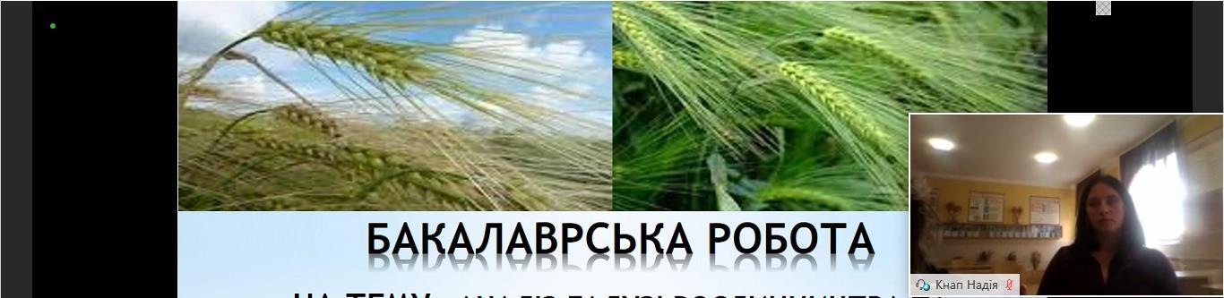 Захист бакалаврів-2020 розпочато!